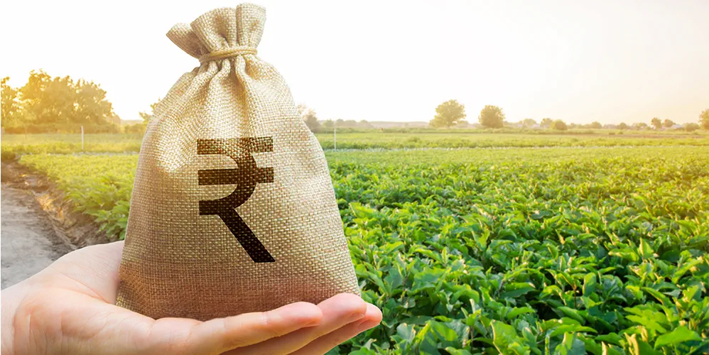 TOP 4 THINGS TO DO WHEN APPROACHING A LENDER FOR A FARM LOAN