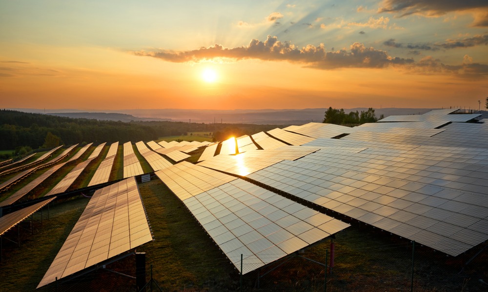 What to Look for in Solar Finance Companies Before Taking a Loan